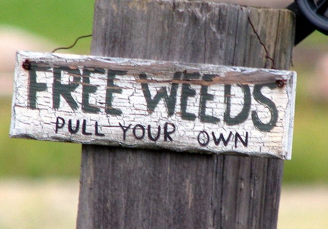Free Weeds