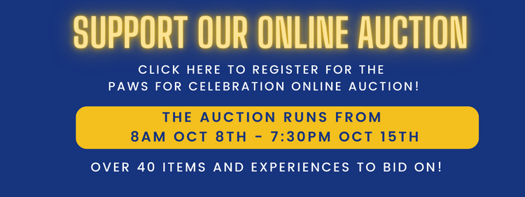 Visit CC Cares Auction Release